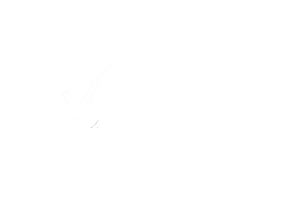 website-erstellt-von-omingo